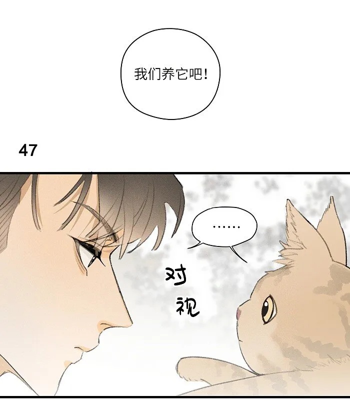 盐友漫画图片漫画,22 养猫3图