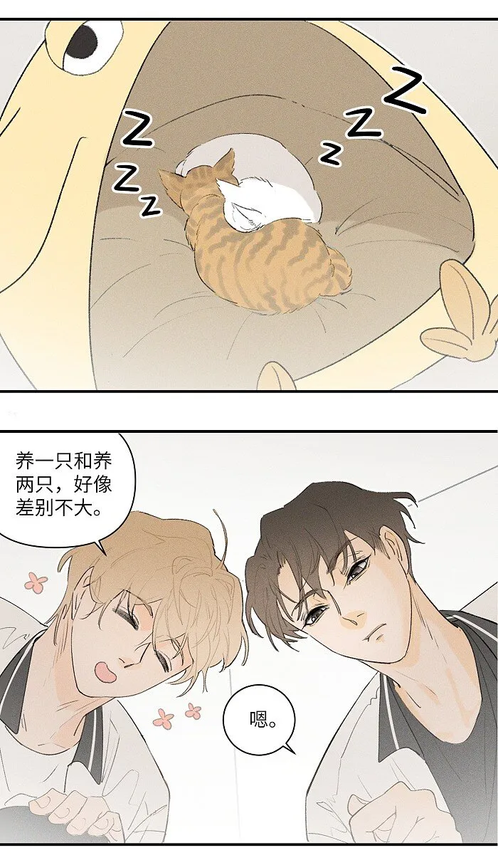 盐友小说免费阅读漫画,24 领养4图
