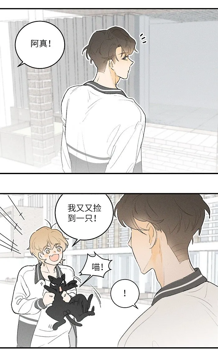 盐友小说免费阅读漫画,24 领养5图