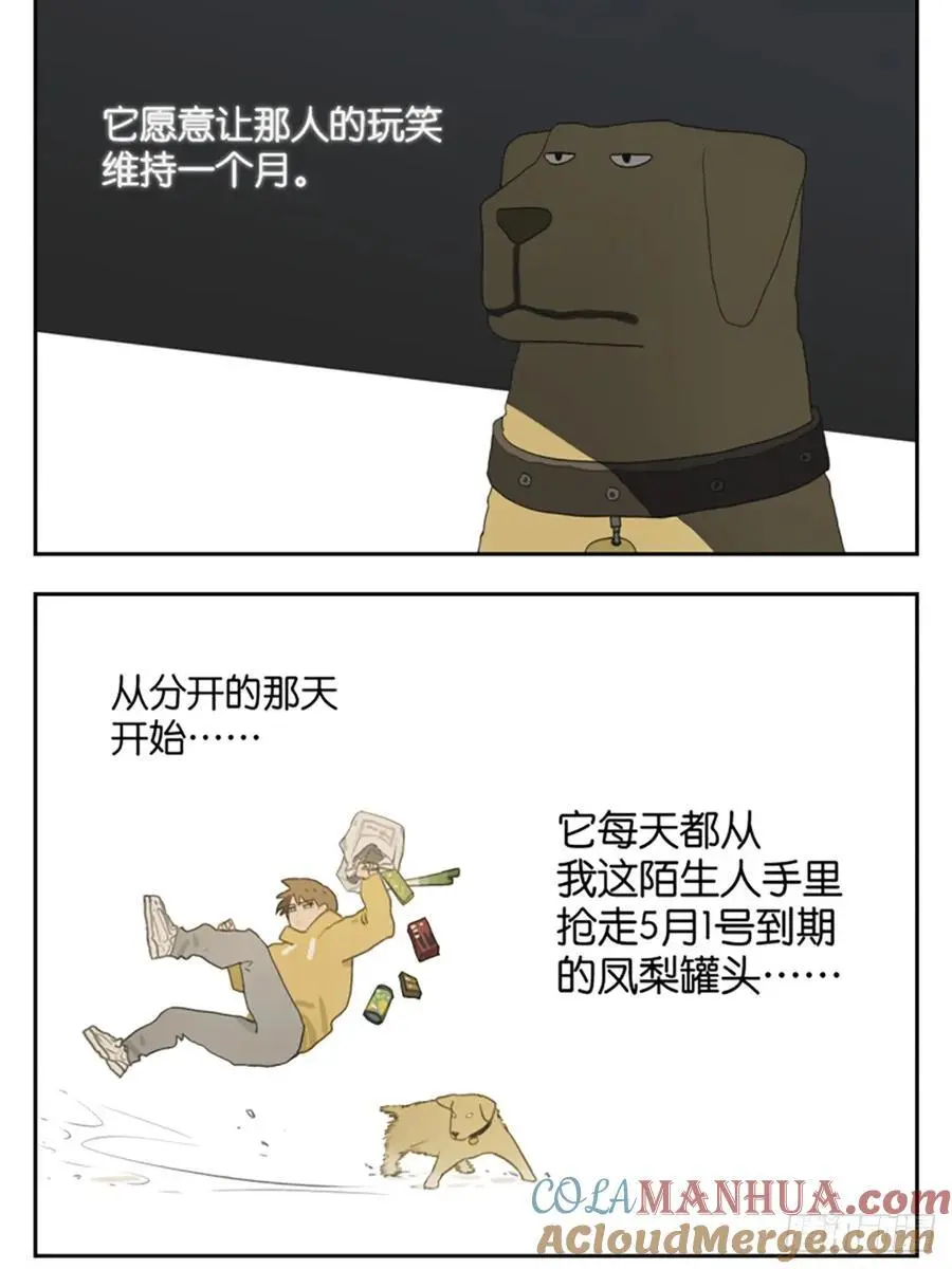 南号尚风漫画免费阅读下拉式无敌漫画漫画,凤梨罐头4图