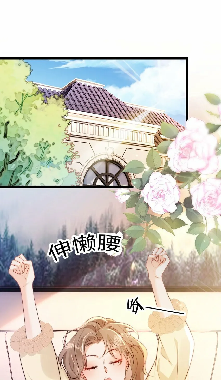 虐文女配她不干了漫画,023 第23话 金龟婿3图