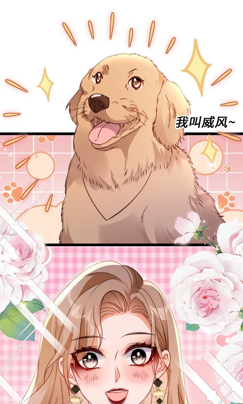 狗血文女配她不干了全文阅读漫画,049 关爱空巢霸总3图
