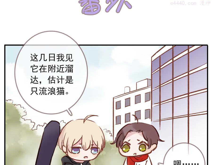 番外 请当我的猫！2