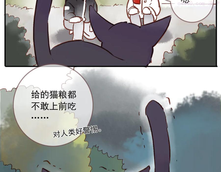 番外 请当我的猫！3