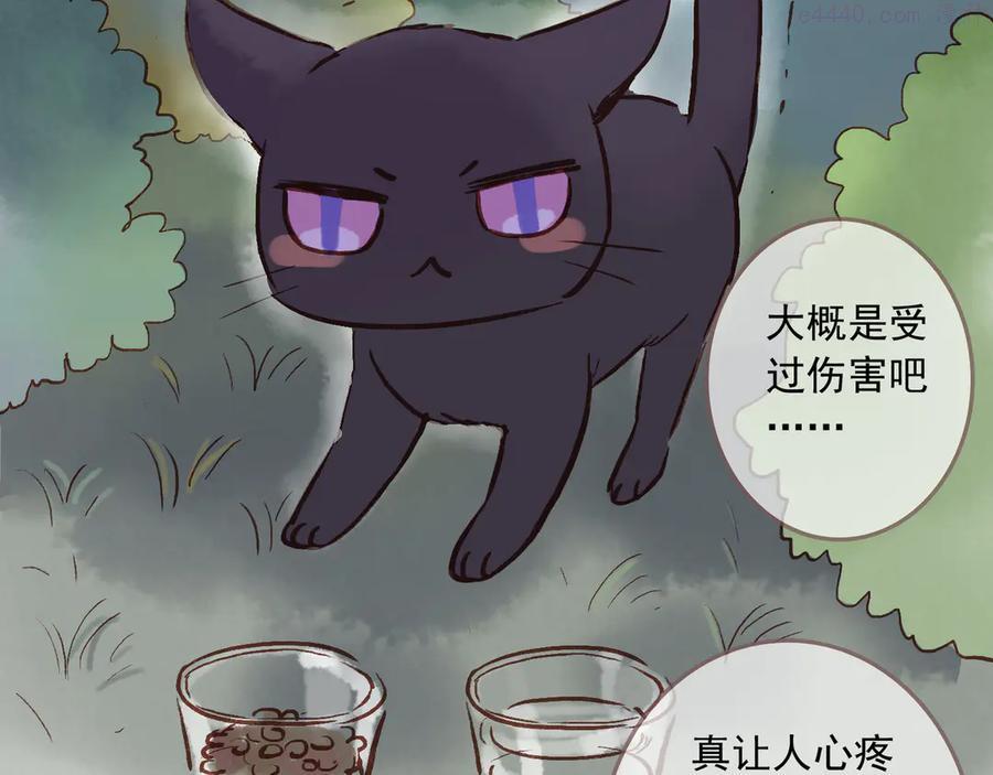 番外 请当我的猫！4