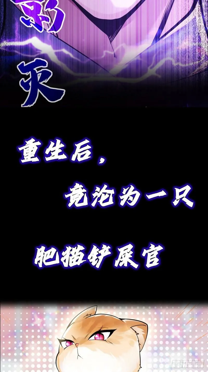 正式预告1