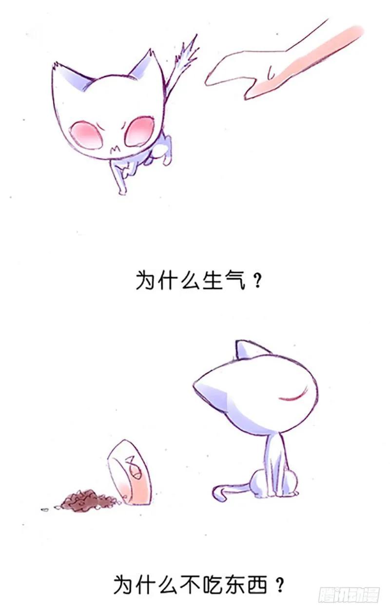 我家大师兄脑子有坑漫画,番外：飞星喵6-15合集4图
