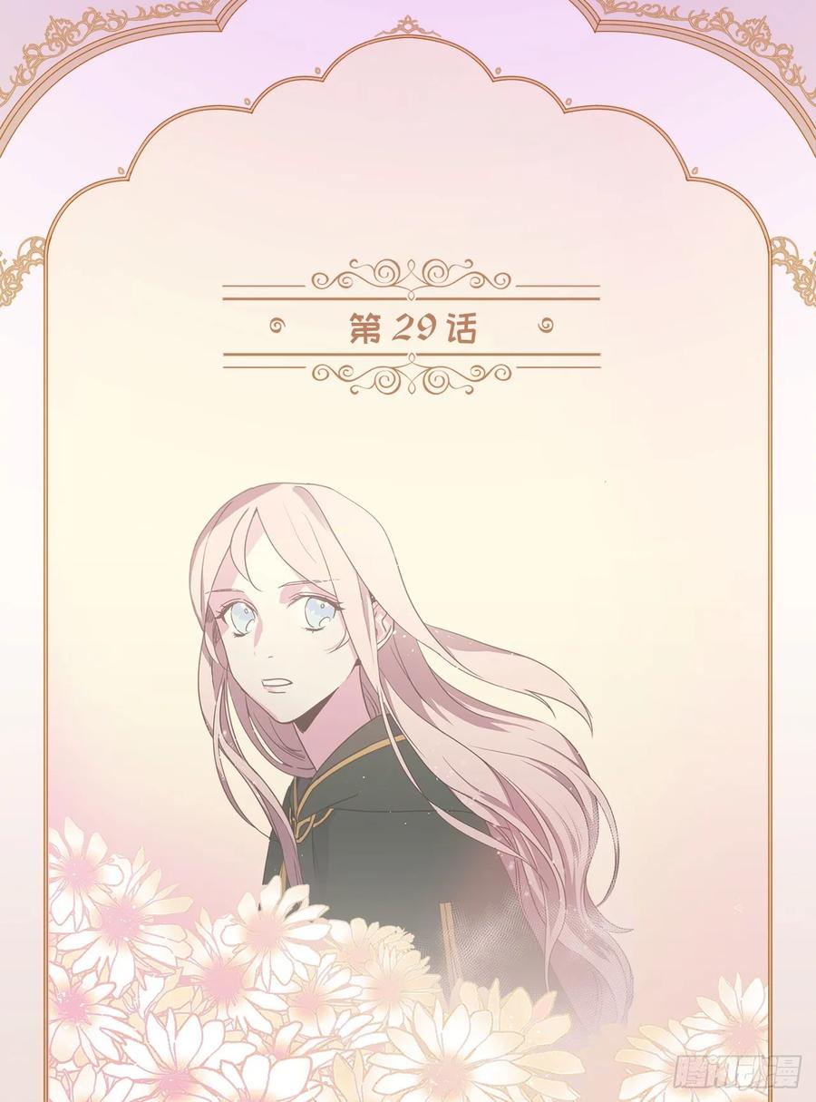 29.美之女神1