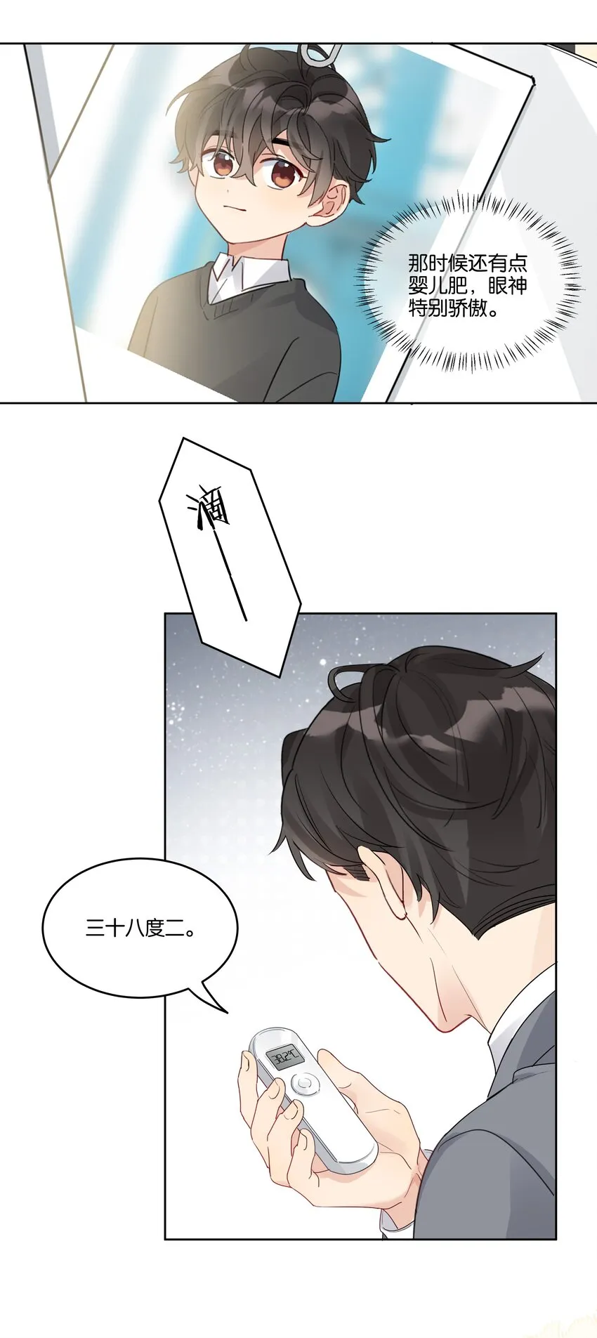 048 草莓花4