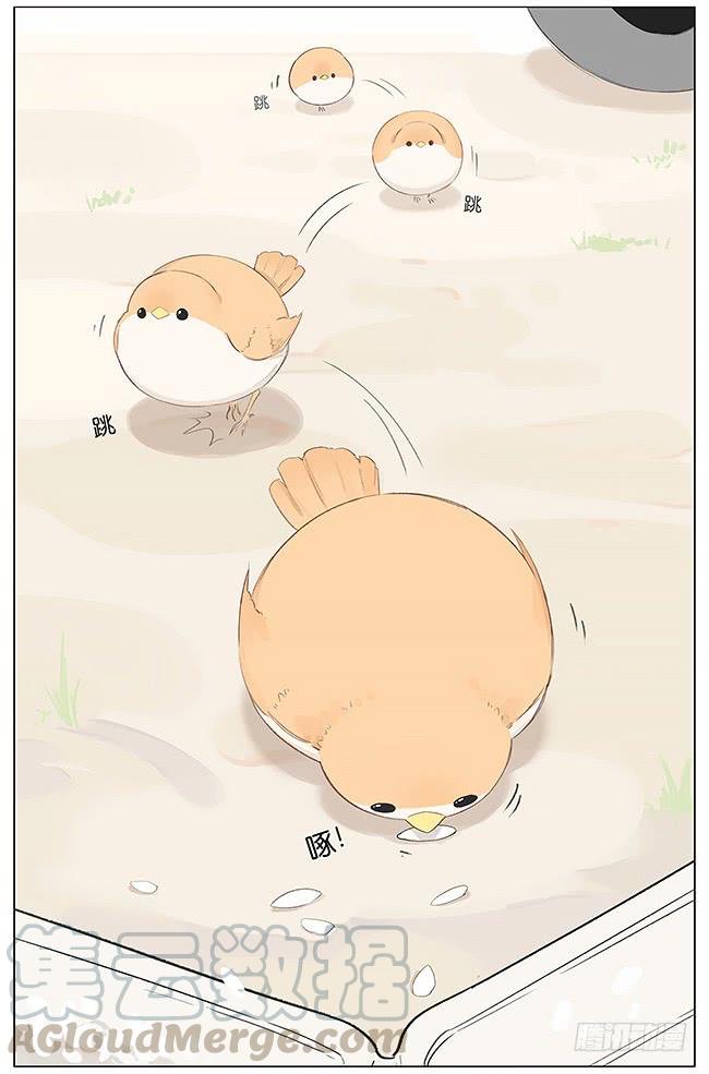 南方的鸟和北方的鸟作者漫画,米粒。3图