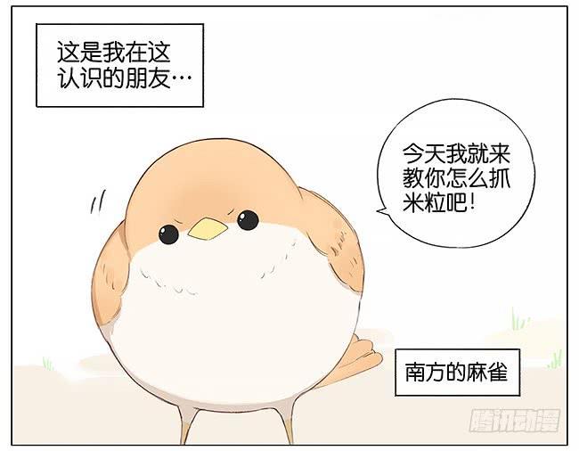 南方的鸟和北方的鸟作者漫画,米粒。2图
