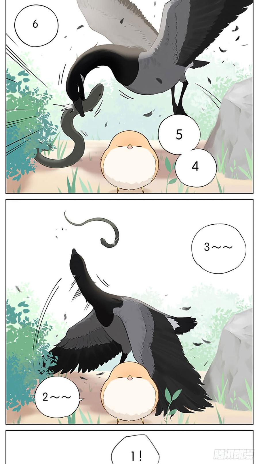 南方的鸟和北方的鸟漫画漫画,捉迷藏。4图