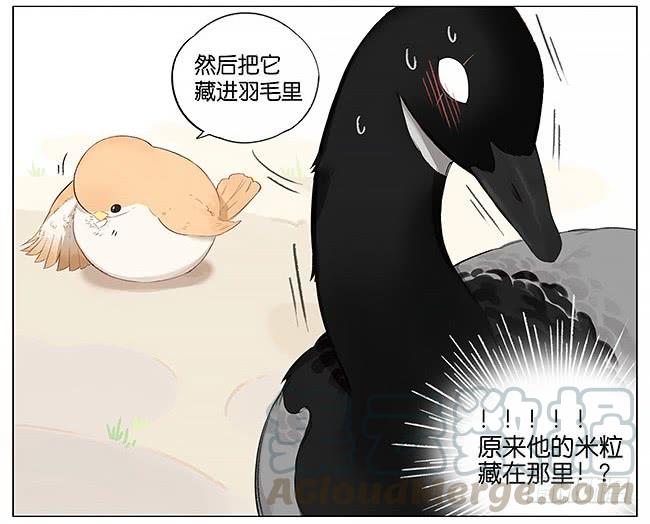 南方的鸟和北方的鸟作者漫画,米粒。5图