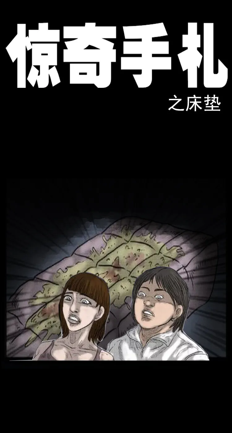 三老爷惊奇手札大全漫画,12 床垫1图