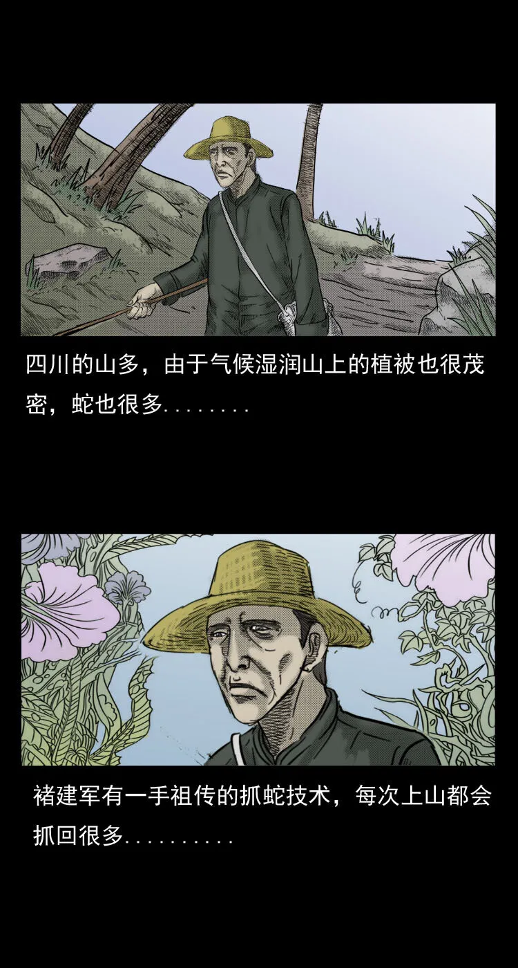 5 活蛇酒4