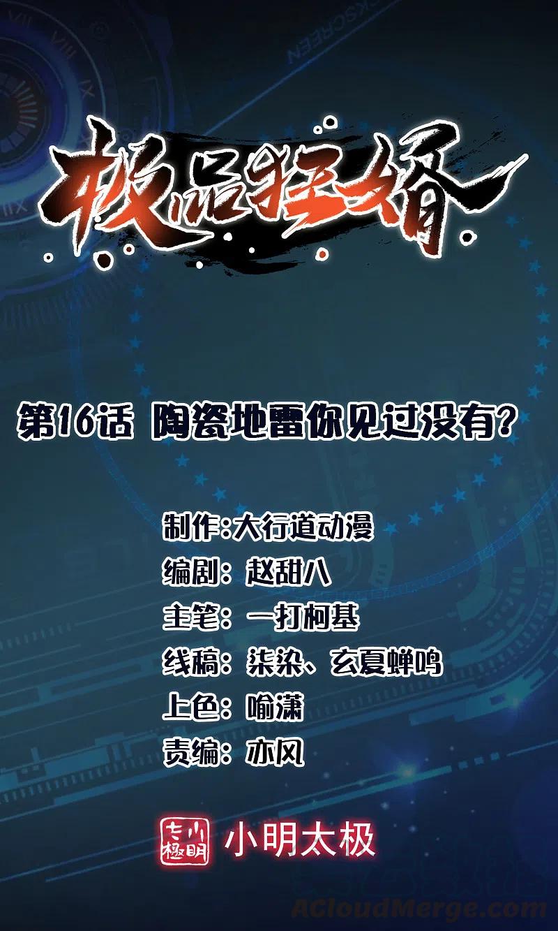 极品狂婿免费阅读全集漫画,第16话 陶瓷地雷你见过没有？1图
