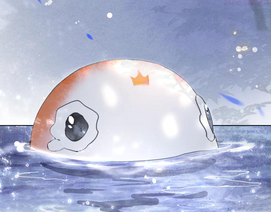 紫禁御喵房超燃视频漫画,第22话 再见，“小”鲤鱼1图