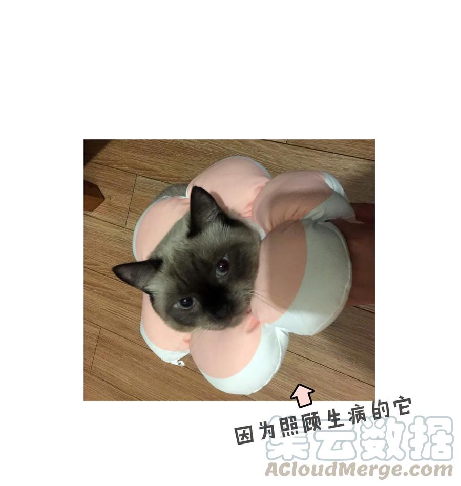 落池漫画免费阅读下拉式零点漫画漫画,延迟 更新通知1图