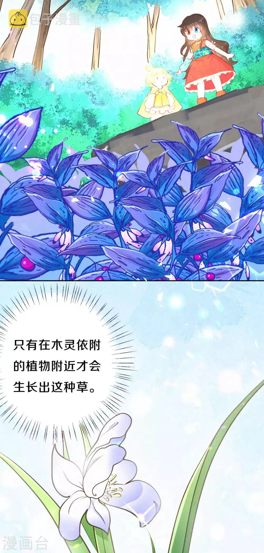 第36话 木灵寄宿之处3