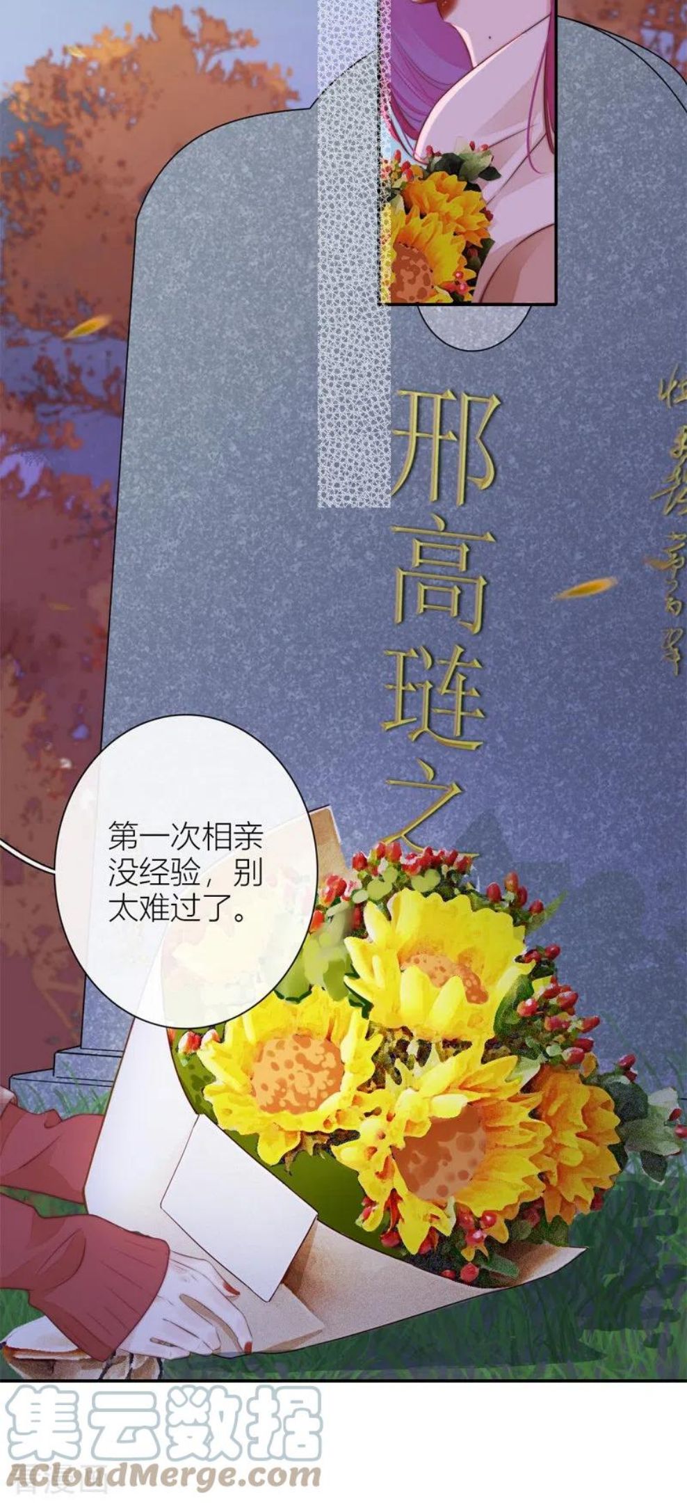 金屋藏骄贺峻霖漫画,BOSS番外3 他和她的往事（下）5图