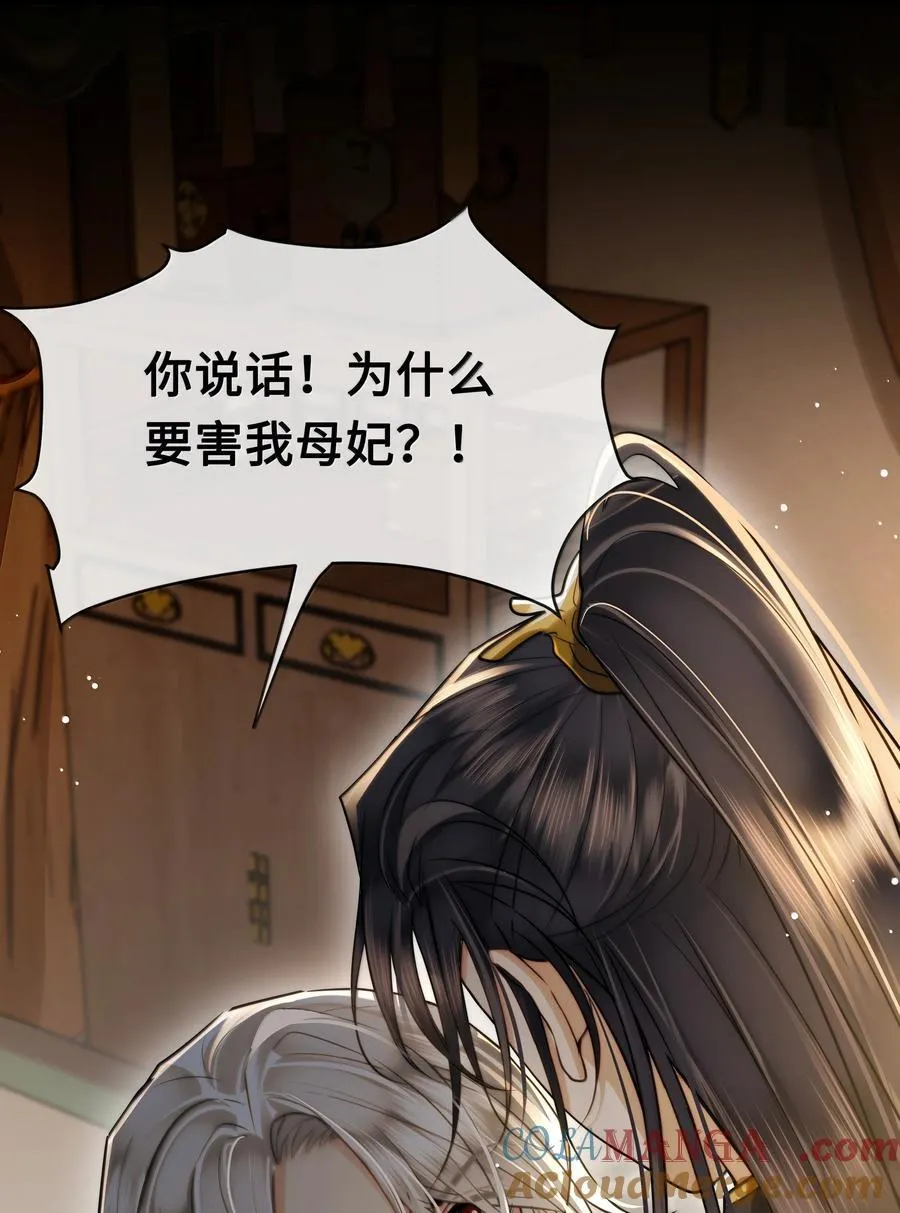 殿下倾城小说免费观看完整版漫画,112 险境3图