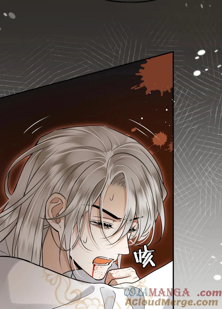殿下倾城小说免费观看完整版漫画,112 险境5图
