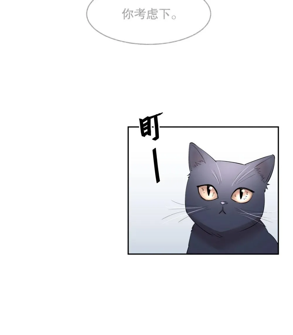 飞鸥不下未删减完整版笔趣阁漫画,第97章 “故猫”4图