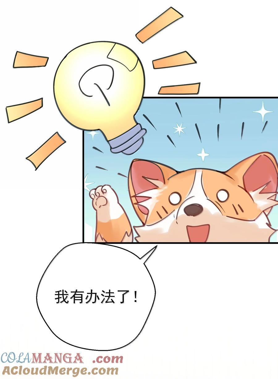 我什么时候无敌了~漫画,312 天道4图