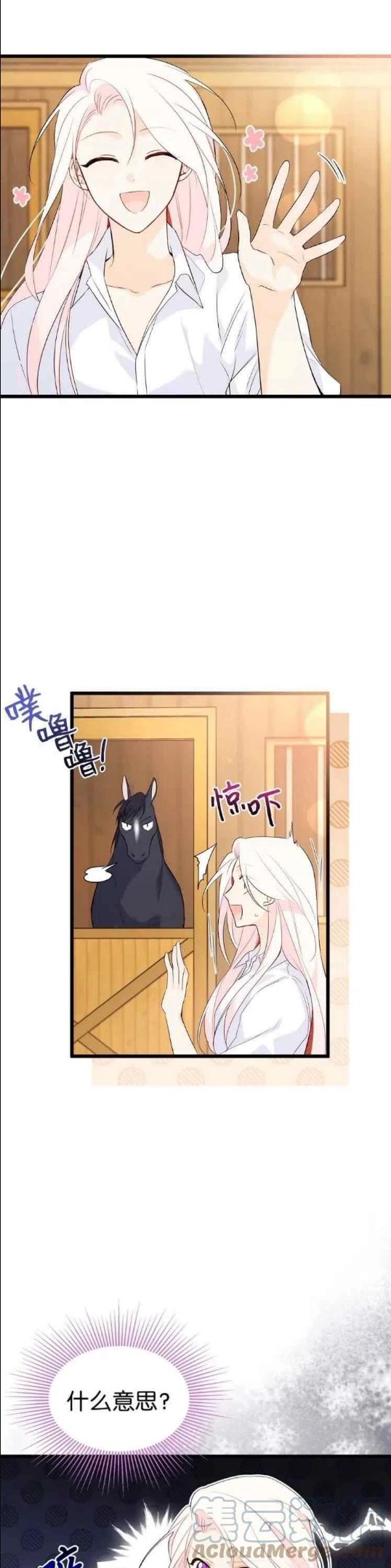 兔子和黑豹的共生关系漫画漫画,第49话5图