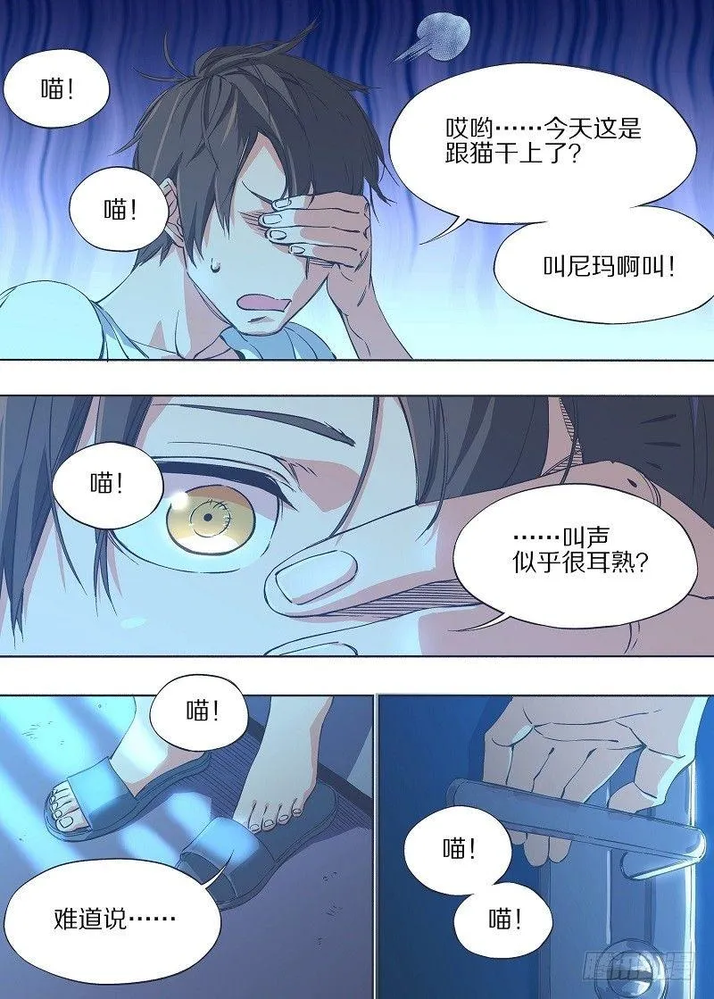 lol铁锤少女漫画,6.我养猫了！3图