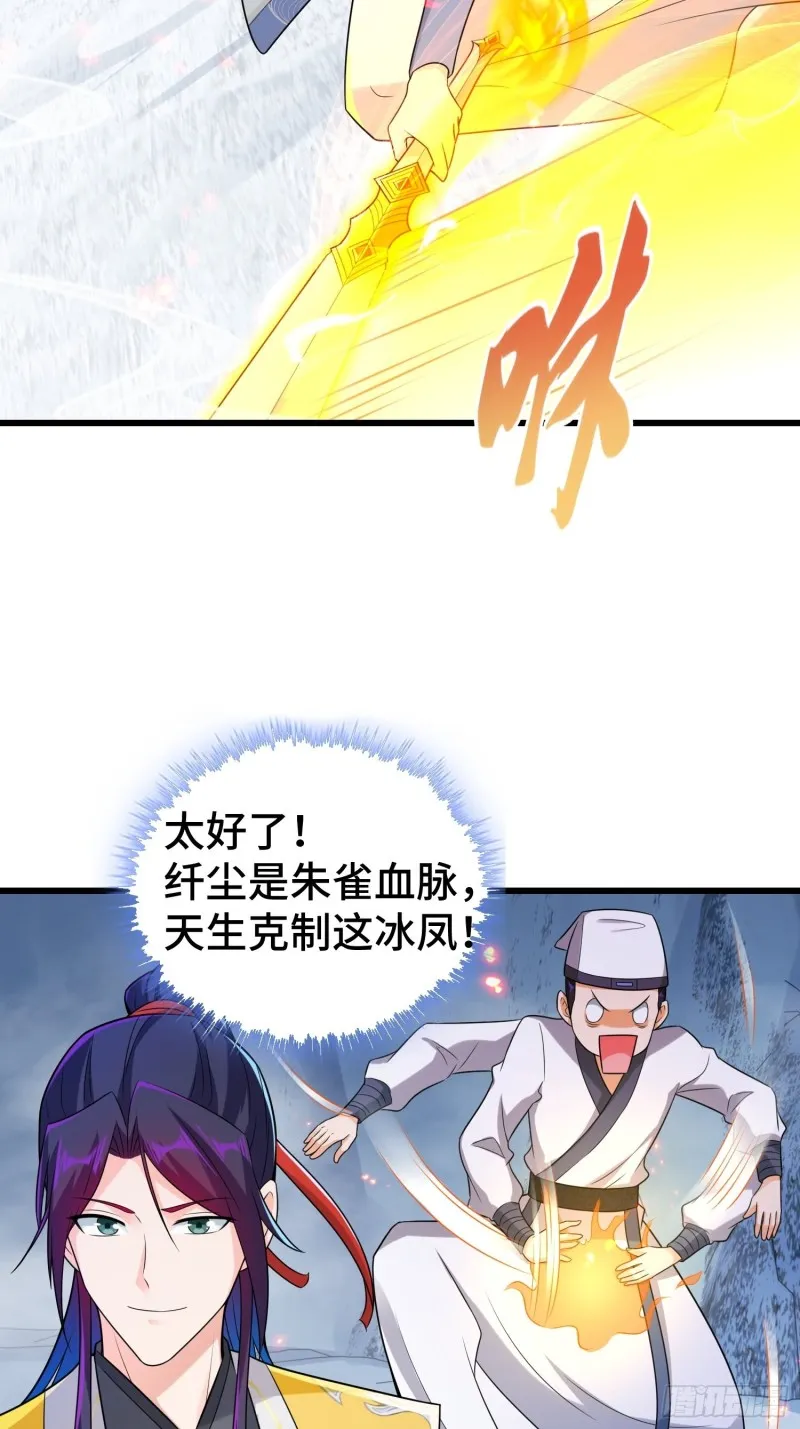 被迫成为反派赘婿漫画,雪原冰凤4图