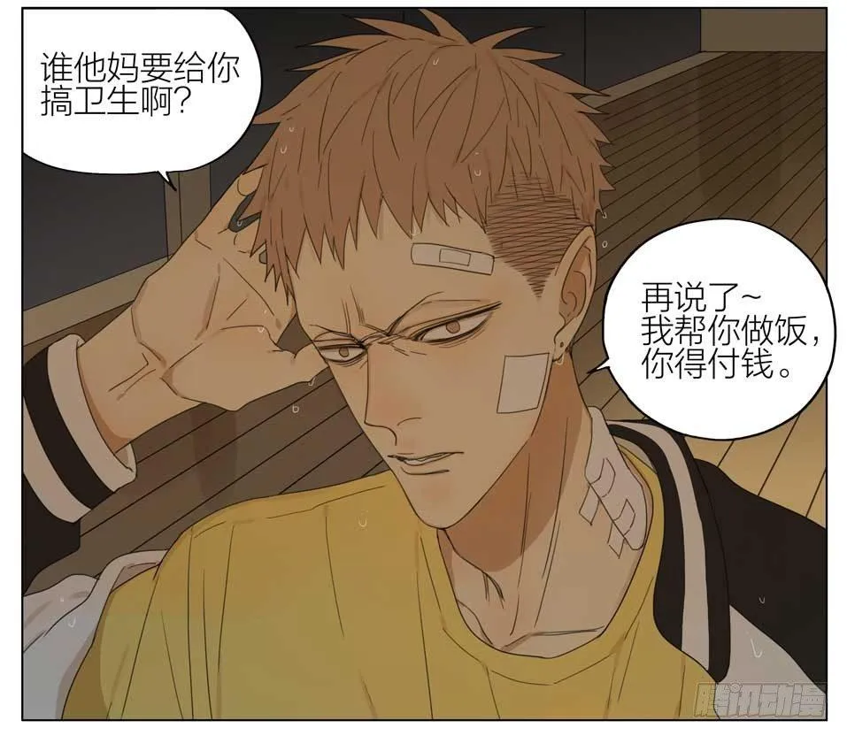 19天漫画,快去做饭5图
