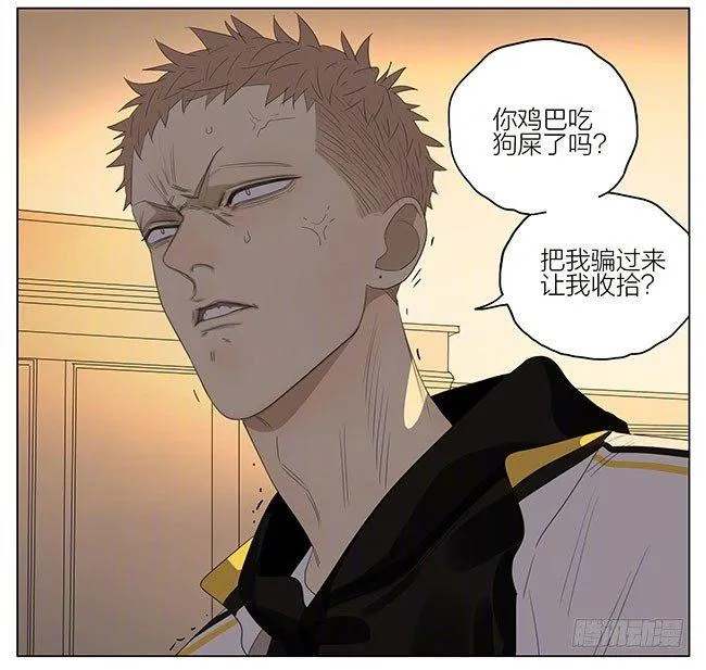 19天漫画,帮我收拾5图