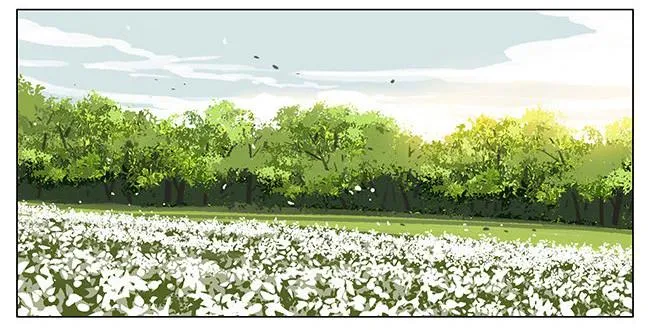 19天图片高清壁纸漫画,早晨5图