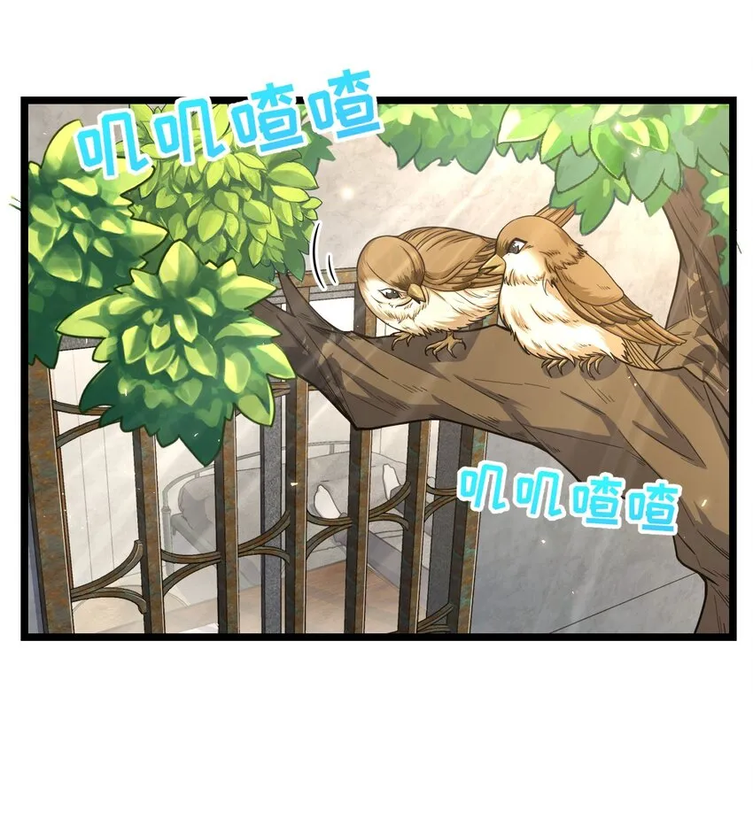 019 真与假1