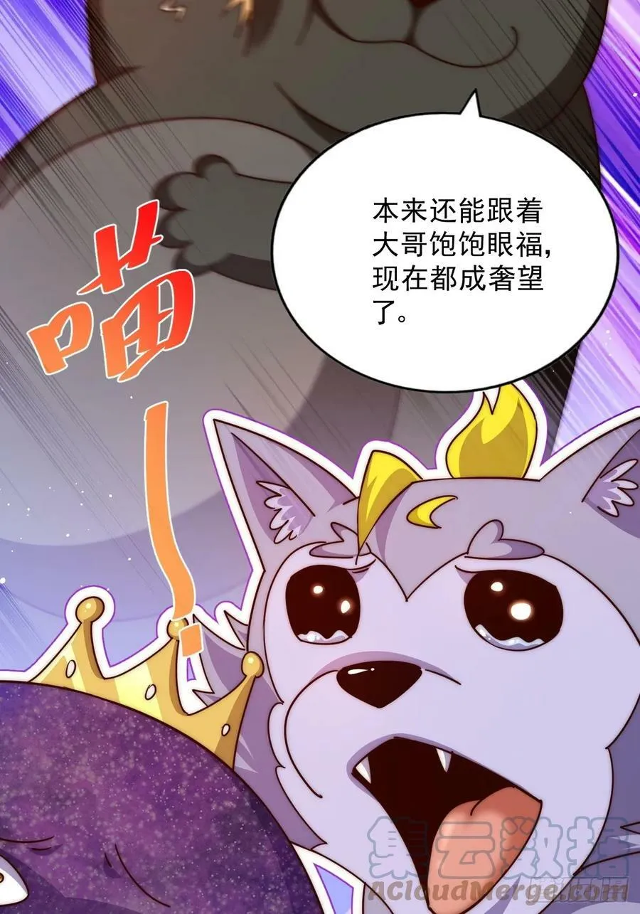 万人之上全集漫画,第203话 离开暗影岛4图