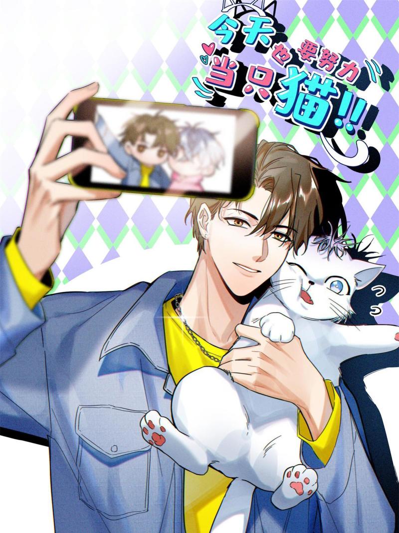 今天也要努力当只猫 小说漫画,91 老公~1图