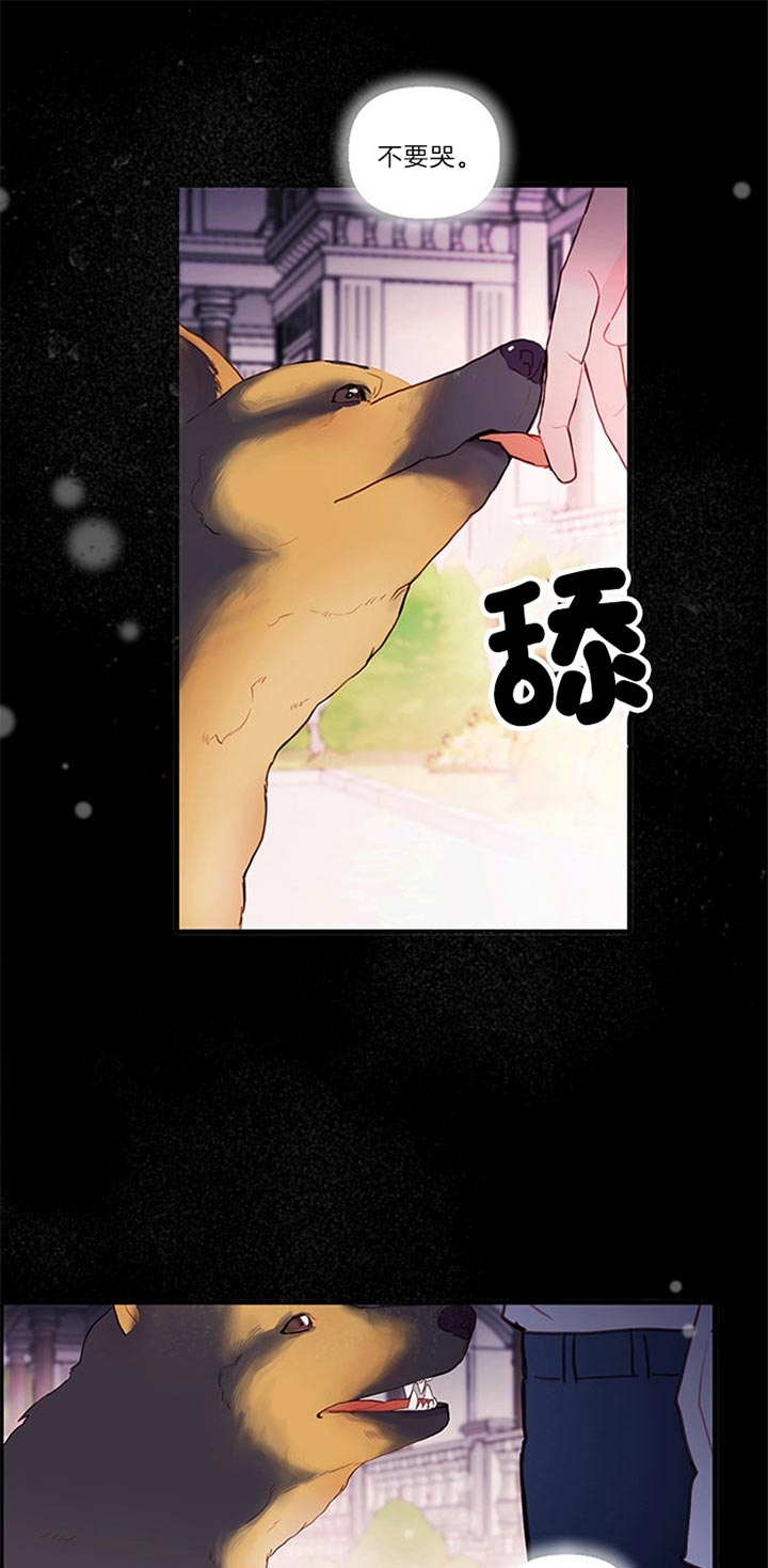 恶魔之舞开机娱乐新闻漫画,第70话1图