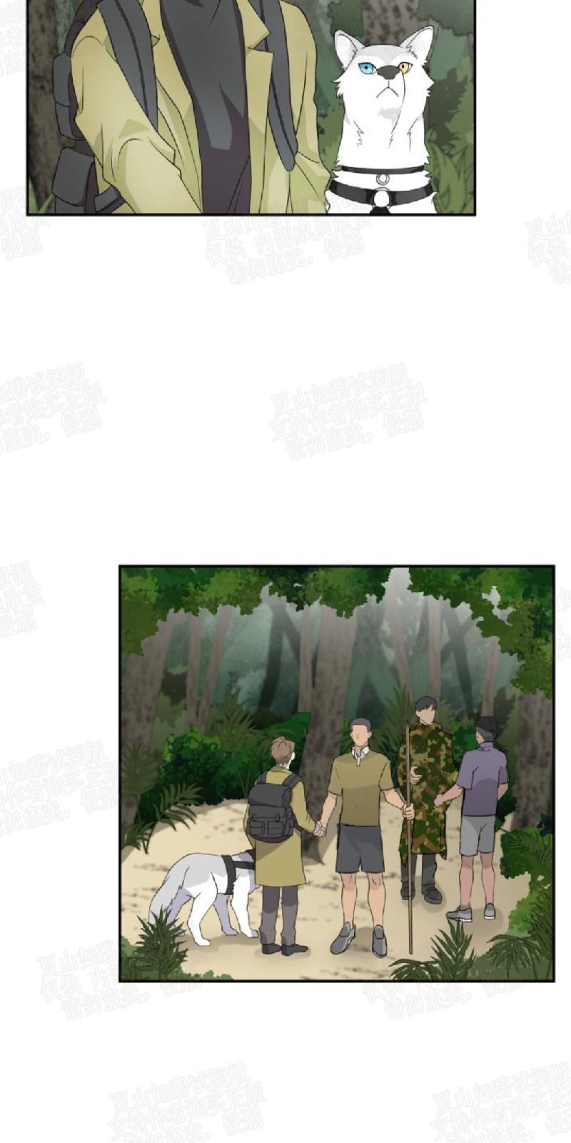 动物王国大探秘英语动画迅雷下载漫画,第3话4图
