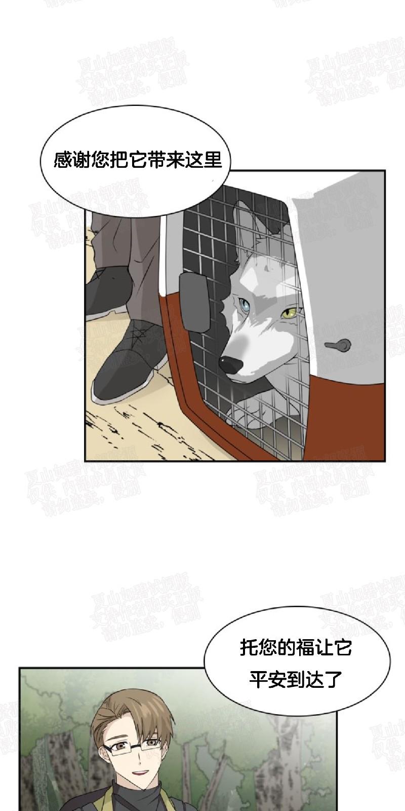 动物王国大探秘英语动画迅雷下载漫画,第3话3图