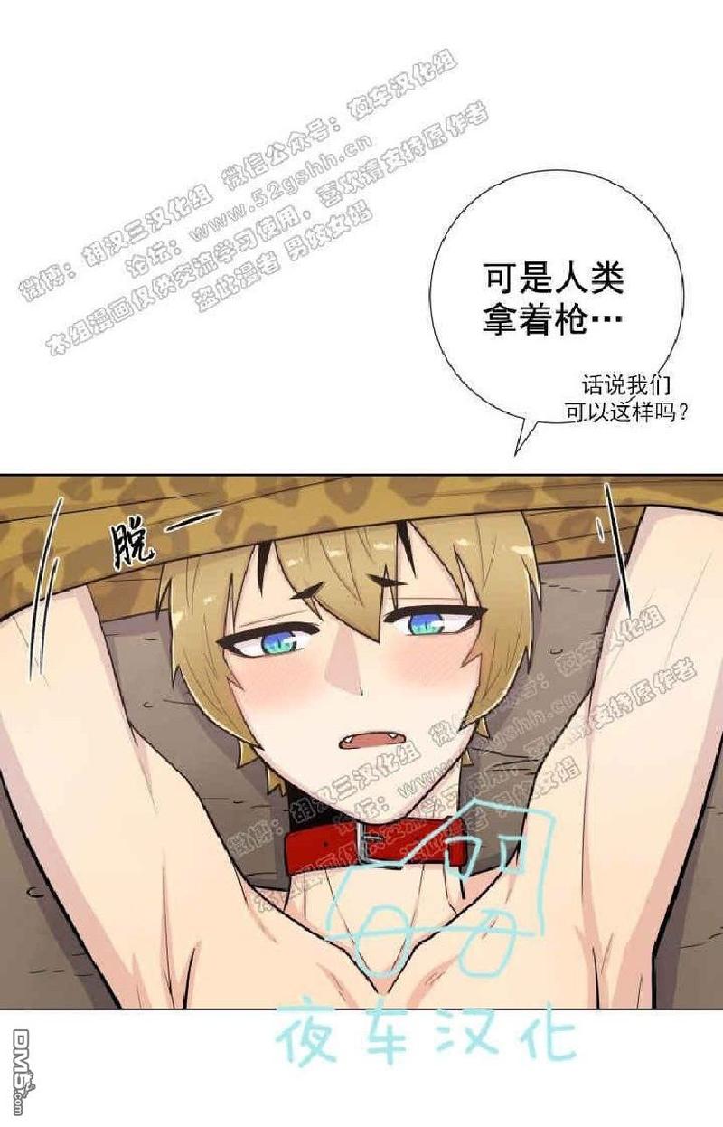 动物王国大探秘英语动画在线播放漫画,第26-30话2图