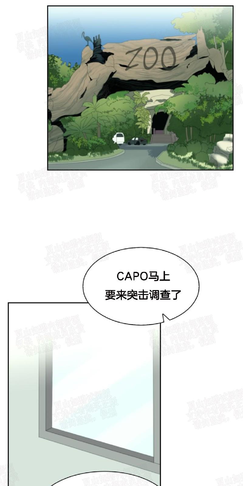 动物王国窃案全集完整版漫画,第21话1图