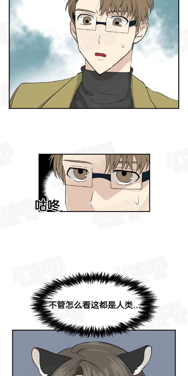 动物王国电影免费观看在线观看漫画,第8话4图