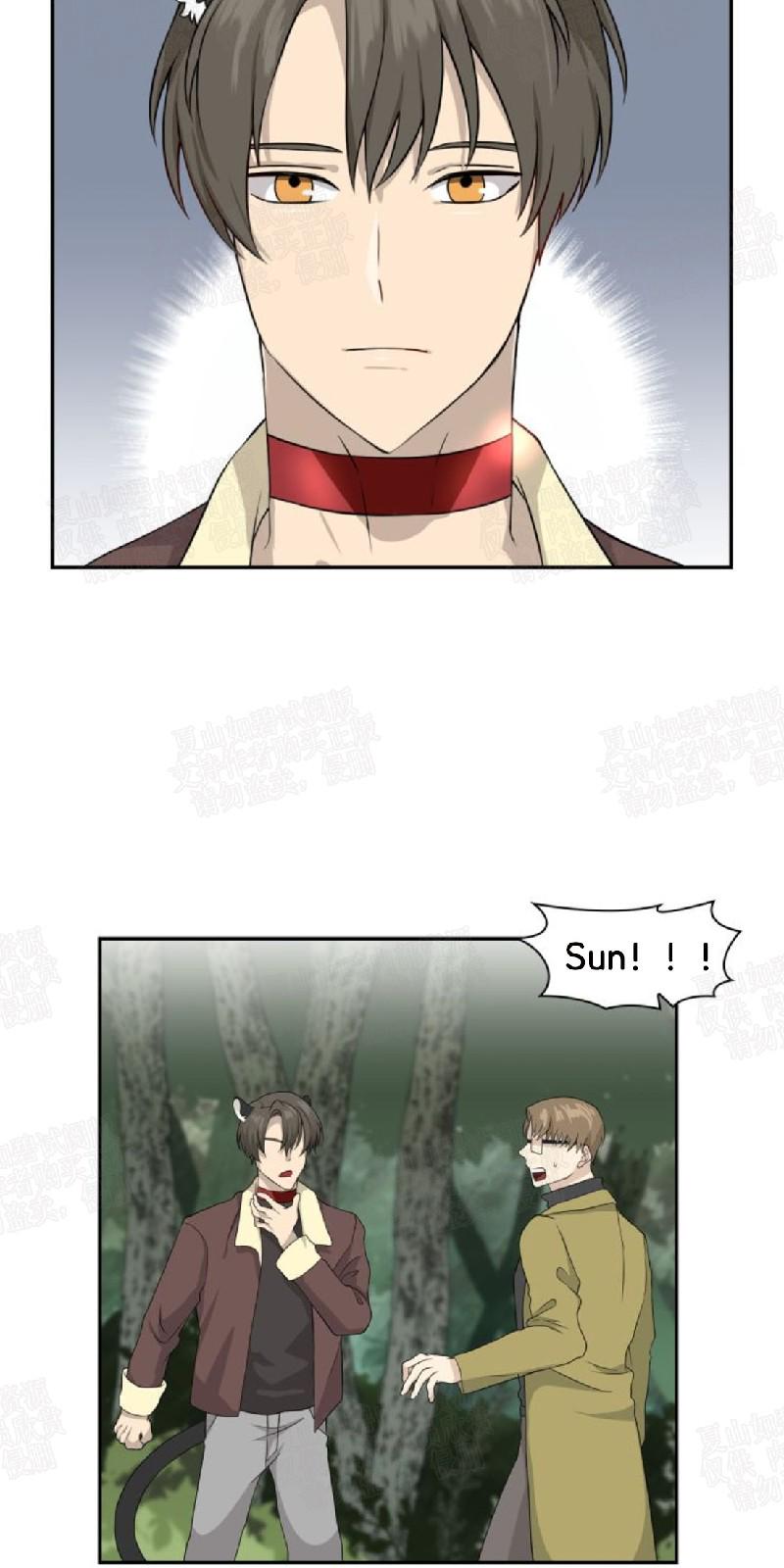 动物王国电影免费观看在线观看漫画,第8话5图