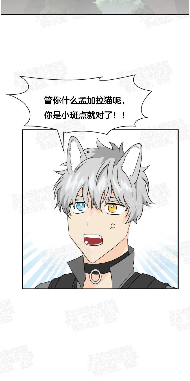 动物王国开大会教学设计漫画,第13话3图