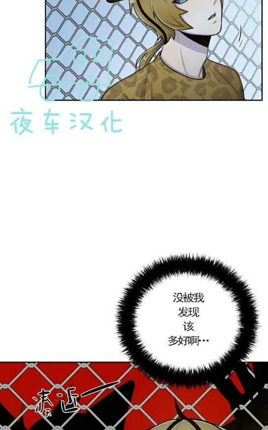 动物王国大冒险英语启蒙48集网盘下载漫画,第49话3图