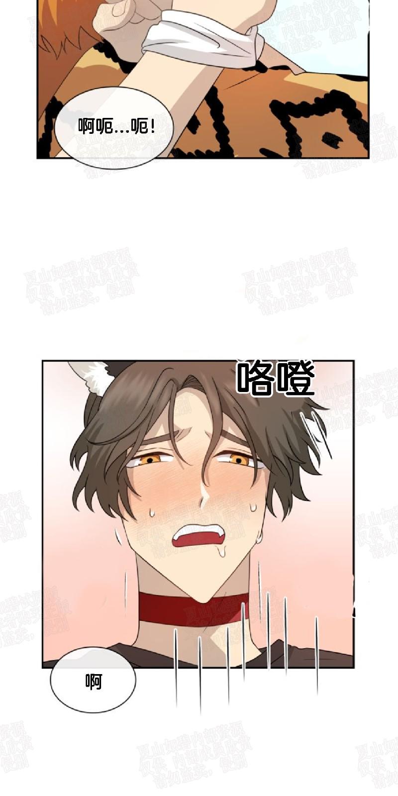 动物王国大冒险英语启蒙48集网盘下载漫画,第19话5图