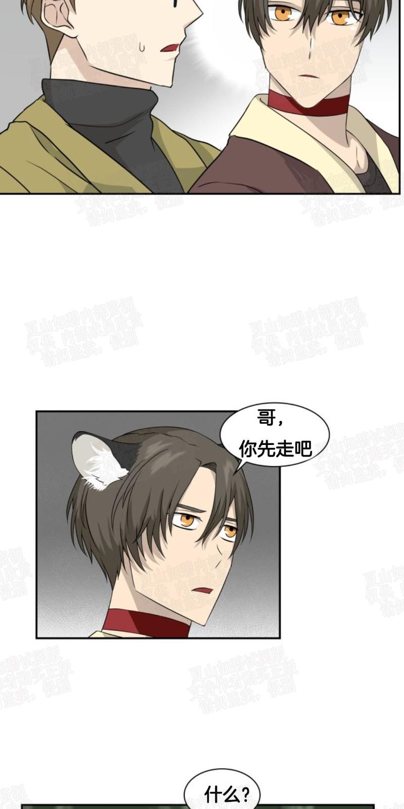 动物王国大冒险英语启蒙48集网盘下载漫画,第9话5图