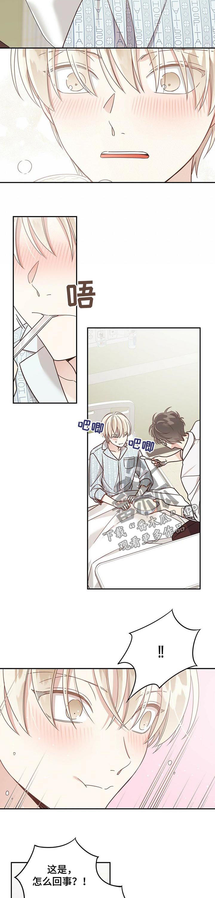 幸运卡片模组怎么用漫画,第71章：你自己吃4图