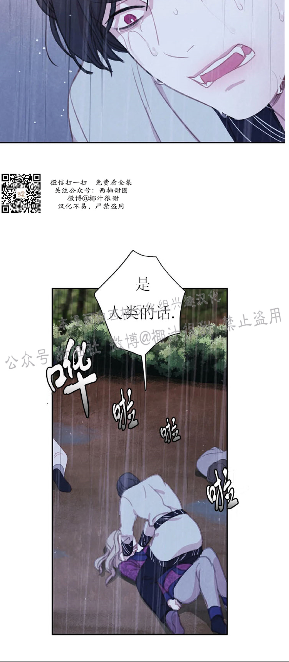 第24话1